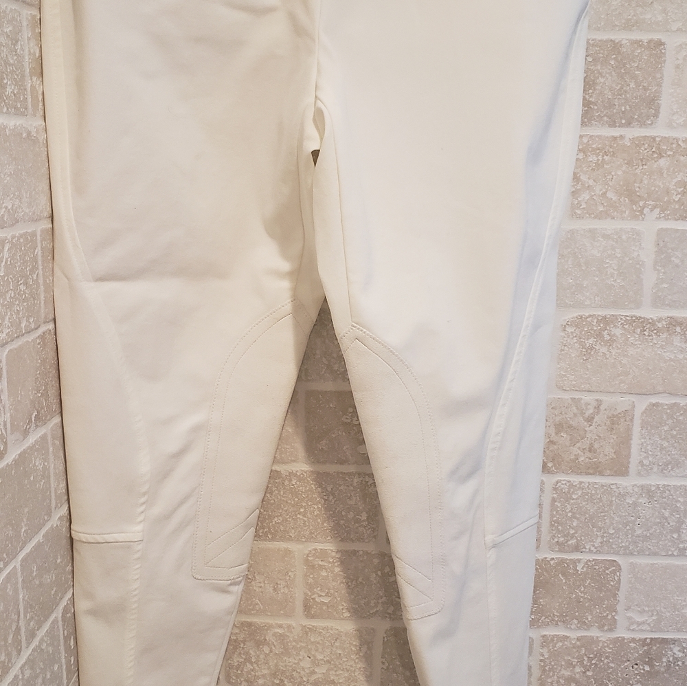 Women's Ariat Riding Breeches